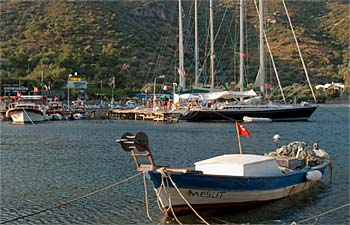 Hayit B&uuml;k&uuml;