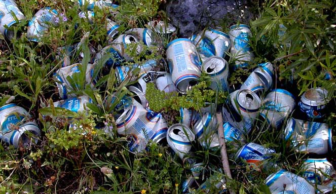 M&uuml;lldepot Oleanderbusch