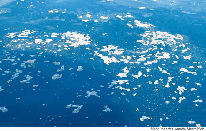 M&uuml;lldepot Oleanderbusch